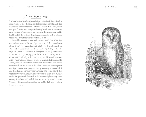 Dominic Couzens - Hidden Life of Garden Birds : The unseen drama behin image 5