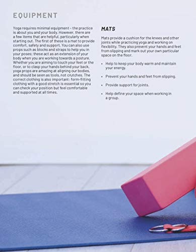 Liz Lowenstein - Yoga for Inflexible People : Improve Mobility, Streng image 7