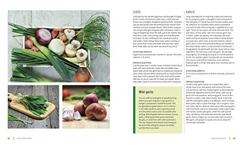 Rose Glover - Vegan Kitchen : Over 100 Essential Ingredients for Your image 9