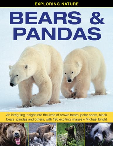 Michael Bright - Exploring Nature: Bears & Pandas : An Intriguing Insi image 1
