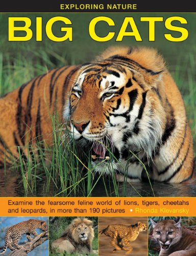 Rhonda Klevansky - Exploring Nature: Big Cats - Hardback image 1