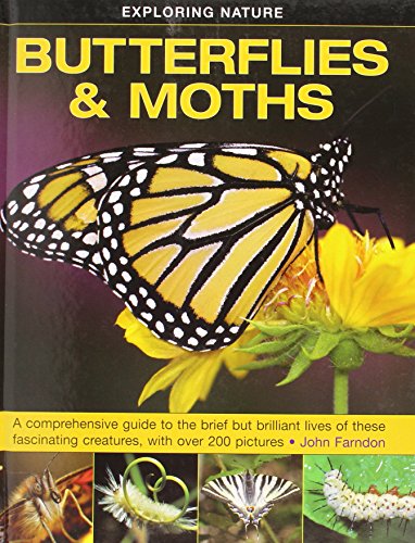 Farndon John - Exploring Nature: Butterflies & Moths - Hardback