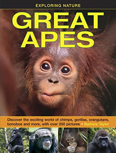 Barbara Taylor - Exploring Nature: Great Apes - Hardback image 1