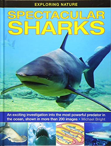 Michael Bright - Exploring Nature: Spectacular Sharks - Hardback image 1