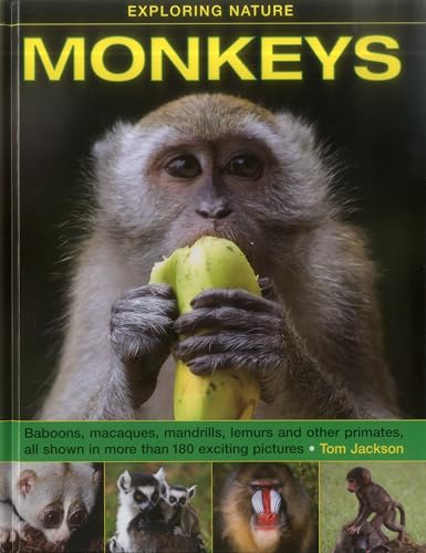 Jackson Tom - Exploring Nature: Monkeys - Hardback image 1