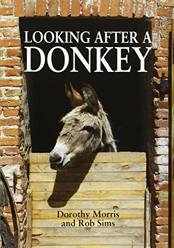 Rob Sims - Looking After a Donkey - Paperback image 1