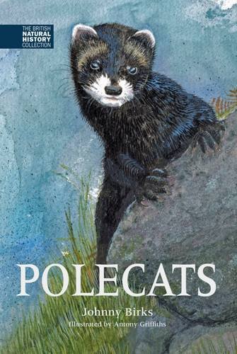Johnny Birks - Polecats : 5 - Hardback image 1