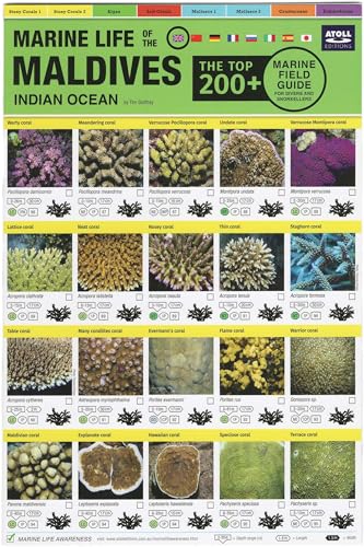 Tim Godfrey - Maldives Marine Life Field Guide : "Top 200+ - Paperback image 2