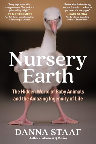 Danna Staaf - Nursery Earth : The Hidden World of Baby Animals and the image 1