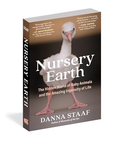 Danna Staaf - Nursery Earth : The Hidden World of Baby Animals and the image 2