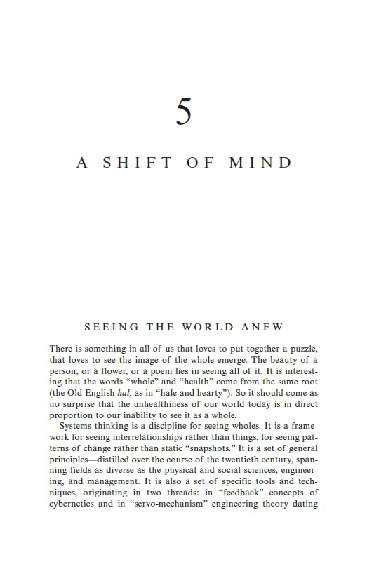Peter M. Senge - Fifth Discipline: The art and practice of the learnin image 5