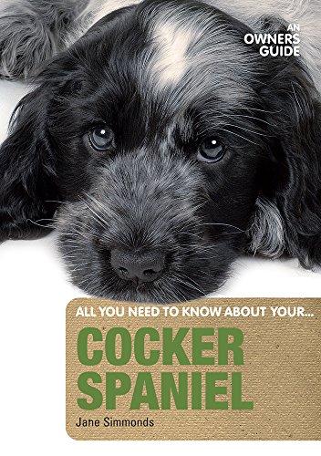 Jane Simmonds - Cocker Spaniel : An Owner's Guide - Paperback image 1