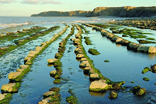 Brian Pearce - A Boot Up The Quantocks : 10 Leisure Walks of Discovery image 5