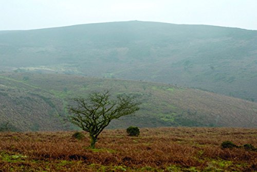 Brian Pearce - A Boot Up The Quantocks : 10 Leisure Walks of Discovery image 6