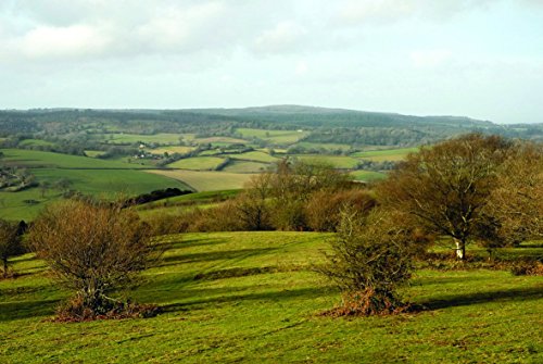 Brian Pearce - A Boot Up The Quantocks : 10 Leisure Walks of Discovery image 7