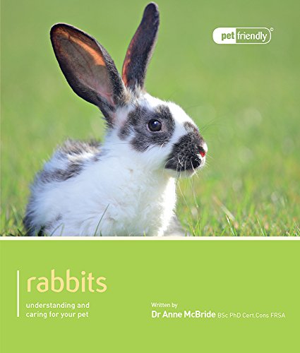 Anne McBride - Rabbit - Pet Friendly - Paperback image 1