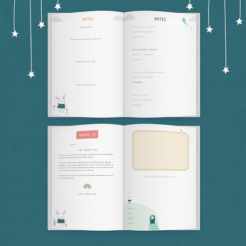 Helen Stephens - Bump to Birthday - Hardback image 3
