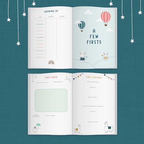 Helen Stephens - Bump to Birthday - Hardback image 4