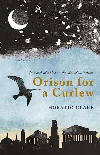 Horatio Clare - Orison for a Curlew : In Search of a Bird on the Edge image 1