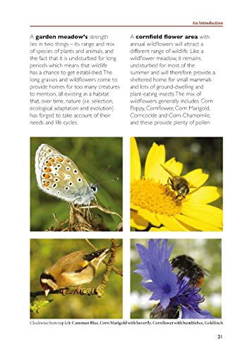 Jenny Steel - Making Garden Meadows : How to Create a Natural Haven fo image 4