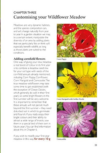 Jenny Steel - Making Garden Meadows : How to Create a Natural Haven fo image 5