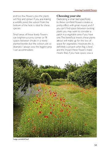 Jenny Steel - Making Garden Meadows : How to Create a Natural Haven fo image 6