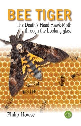 Philip Howse - Bee Tiger : The Death's Head Hawk-moth through the image 1