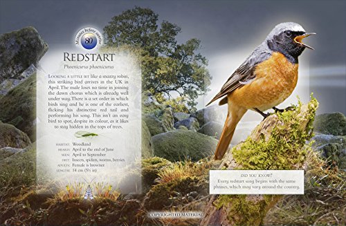 Andrea Pinnington - Little Book of the Dawn Chorus - Hardback image 2