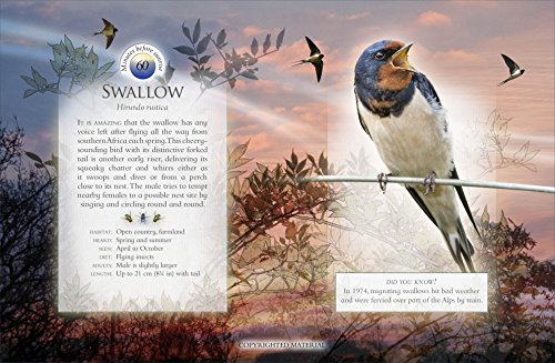Andrea Pinnington - Little Book of the Dawn Chorus - Hardback image 3
