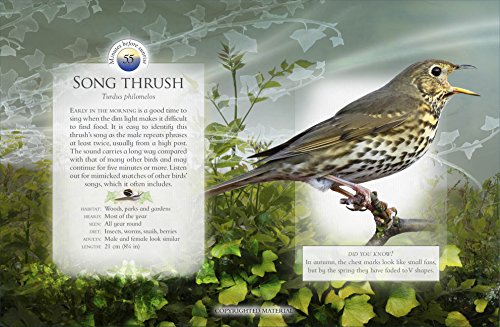 Andrea Pinnington - Little Book of the Dawn Chorus - Hardback image 4