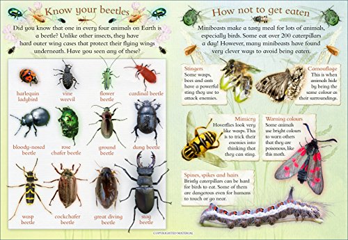 Caz Buckingham - Let's Look for Bugs - Paperback image 2