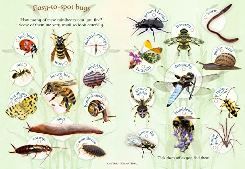 Caz Buckingham - Let's Look for Bugs - Paperback image 3