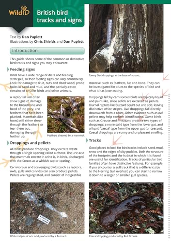 Dan Puplett - Guide to British bird tracks and signs - Paperback image 3