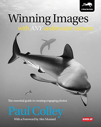Paul Colley - Winning Images with Any Underwater Camera : The Essentia image 1