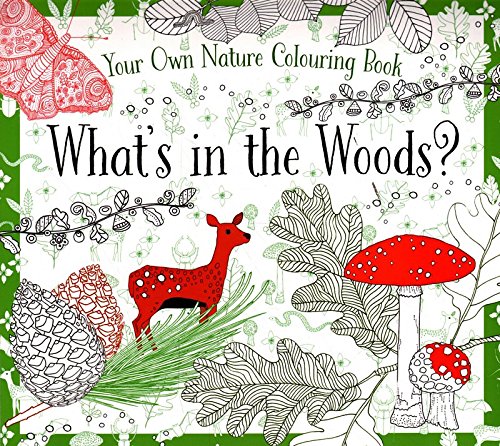 What's in the Woods? - Paperback image 1