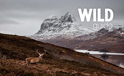 Richard Gaston - Wild Guide Scotland : Hidden places, great adventures image 4