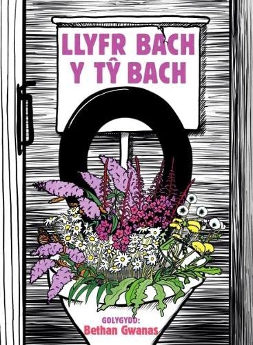 Llyfr Bach y Ty Bach - Hardback image 1