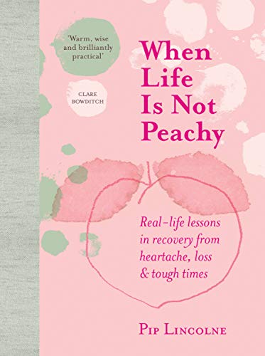 Pip Lincolne - When Life is Not Peachy - Hardback image 1