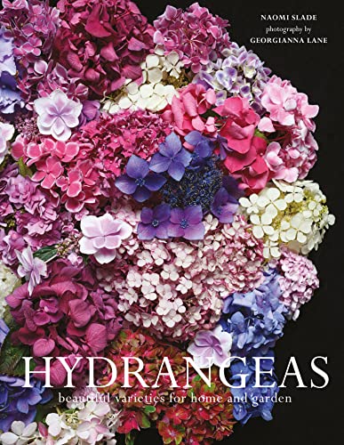 Naomi Slade - Hydrangeas : Beautiful varieties for home and garden - H image 1