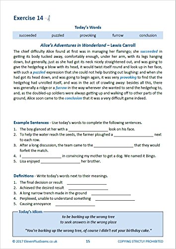 11+ Essentials Verbal Reasoning: Vocabulary in Context Level 1 - Paper image 7