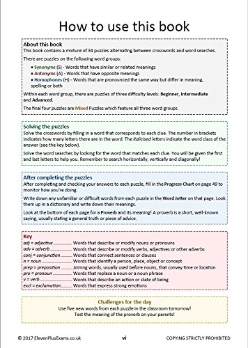 11+ Puzzles Vocabulary Puzzles Book 1 - Paperback image 4