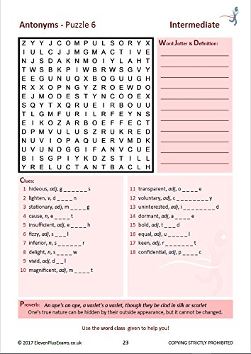 11+ Puzzles Vocabulary Puzzles Book 1 - Paperback image 8