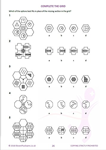 11+ Essentials Non-verbal Reasoning 2D Book 2 - Paperback image 5