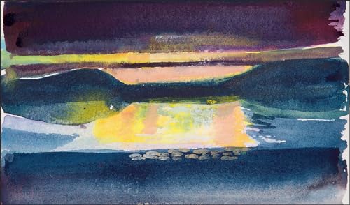 Barbara Rae - : Arctic Sketchbooks - Hardback image 5