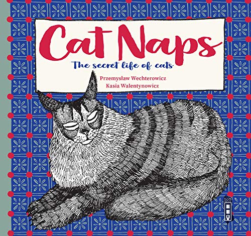 Przemyslaw Wechterow - Secret Lives of Cats - Hardback image 1
