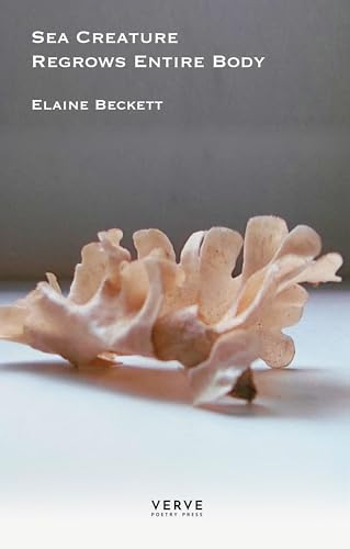 Elaine Beckett - Sea Creature Regrows Entire Body - Paperback image 1
