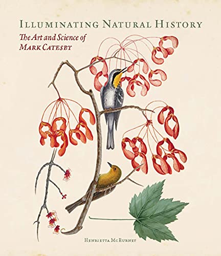 Henrietta Mcburney - Illuminating Natural History - The Art and Scienc image 1