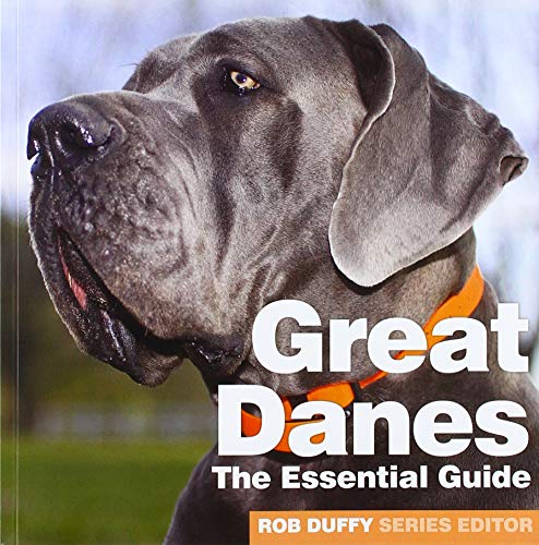 ROB DUFFY - GREAT DANES - Paperback image 1