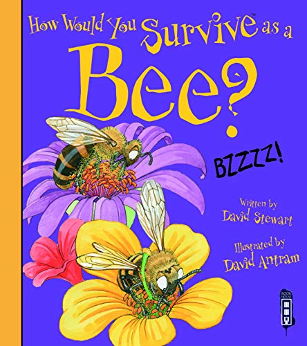 David Stewart - How Would You Survive As A Bee? - Paperback image 1