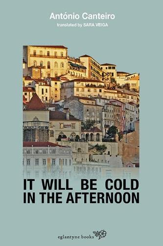 Antonio Canteiro - It Will Be Cold In The Afternoon - Paperback image 1